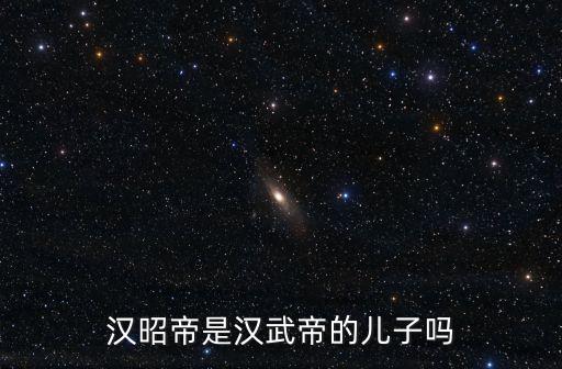 漢昭帝是漢武帝的兒子嗎