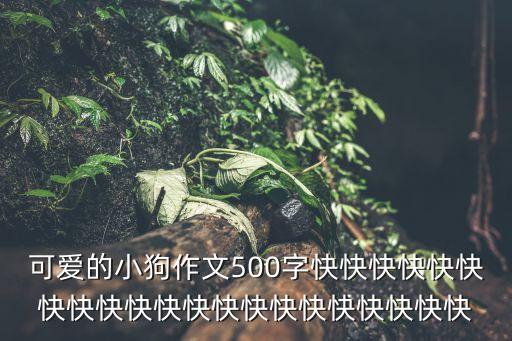 可愛的小狗作文500字快快快快快快快快快快快快快快快快快快快快快