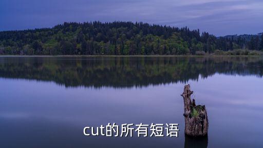 cut的所有短語(yǔ)