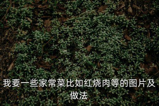 我要一些家常菜比如紅燒肉等的圖片及做法