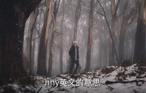 閃爍的英文，閃亮用英語怎么說