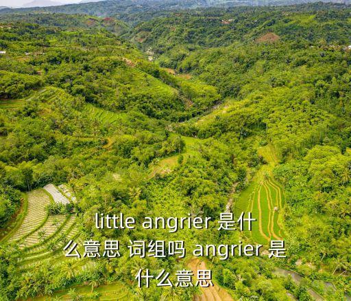 angrier，little angrier 是什么意思 詞組嗎 angrier 是什么意思
