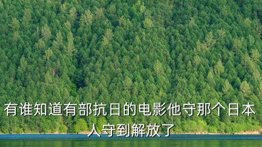 有誰知道有部抗日的電影他守那個日本人守到解放了