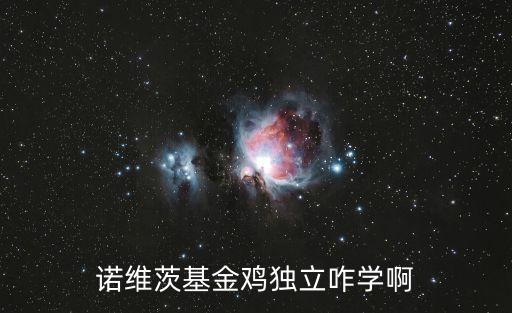 諾維斯基金雞獨立，NBA2K10諾維斯基的金雞獨立怎么弄出來