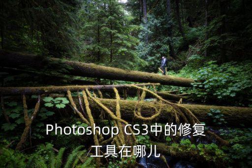 Photoshop CS3中的修復(fù)工具在哪兒