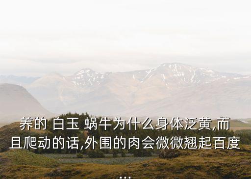 養的 白玉 蝸牛為什么身體泛黃,而且爬動的話,外圍的肉會微微翹起百度...