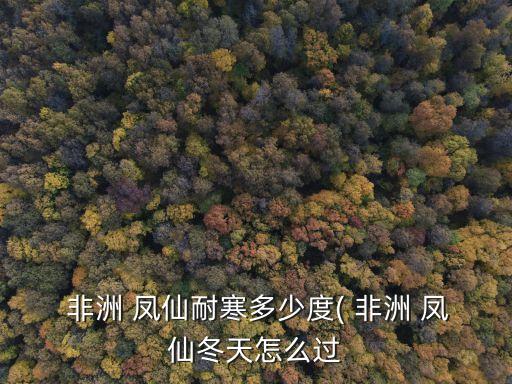  非洲 鳳仙耐寒多少度( 非洲 鳳仙冬天怎么過