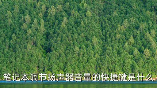 筆記本調節揚聲器音量的快捷鍵是什么