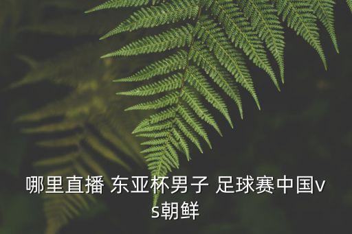 東亞杯足球賽,東亞cup時間表
