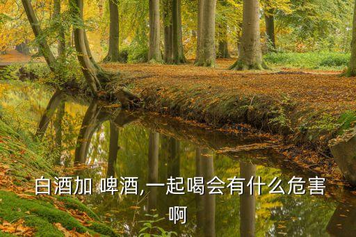  白酒加 啤酒,一起喝會有什么危害啊