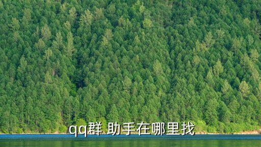 qq群助手,怎么進群?這些東西!