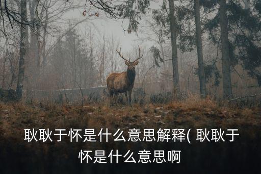 耿耿于懷是什么意思啊,耿耿于懷是什么意思?