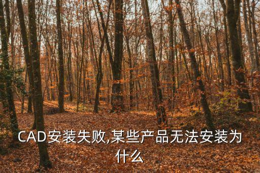 CAD安裝失敗,某些產品無法安裝為什么