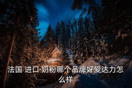 法國 進口 奶粉哪個品牌好愛達(dá)力怎么樣