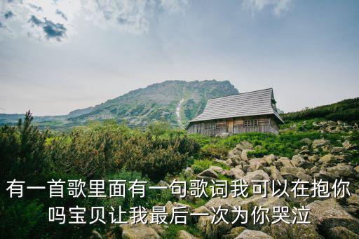 我可以抱你嗎歌詞，我可以抱你嗎這首歌的歌詞