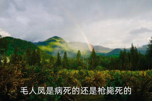 毛人鳳是病死的還是槍斃死的