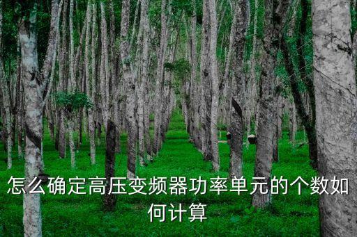 怎么確定高壓變頻器功率單元的個數(shù)如何計算