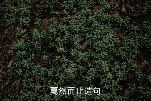 戛然而止造句