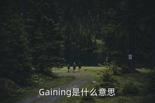 Gaining是什么意思