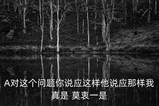 莫衷一是什么意思，A對這個問題你說應這樣他說應那樣我真是 莫衷一是