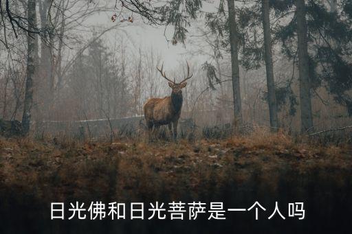 日光佛和日光菩薩是一個人嗎