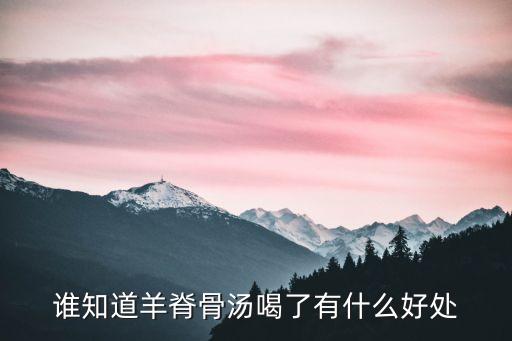 羊骨頭湯的功效與作用，誰知道羊脊骨湯喝了有什么好處