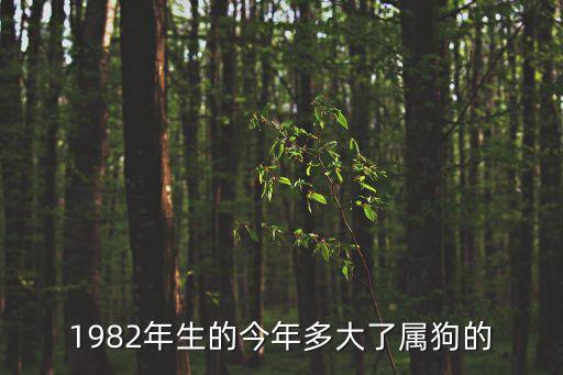 屬狗今年多少歲，1982年生的今年多大了屬狗的