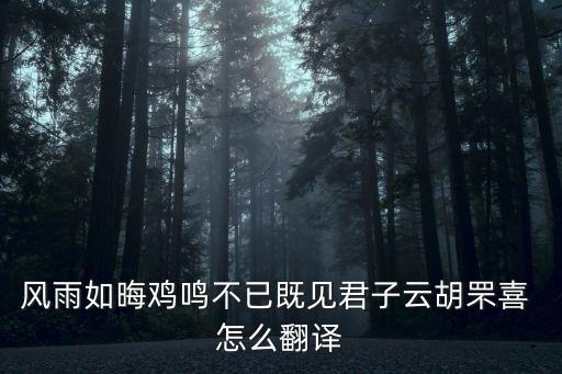 風雨如晦雞鳴不已既見君子云胡罘喜 怎么翻譯