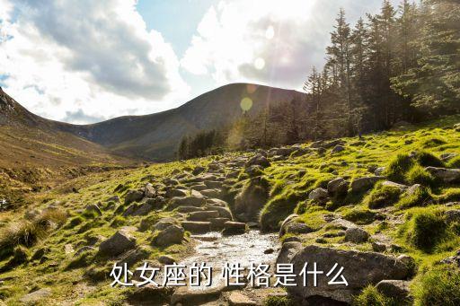 龜毛的性格指什么性格,性格決定論在工作中起主要作用