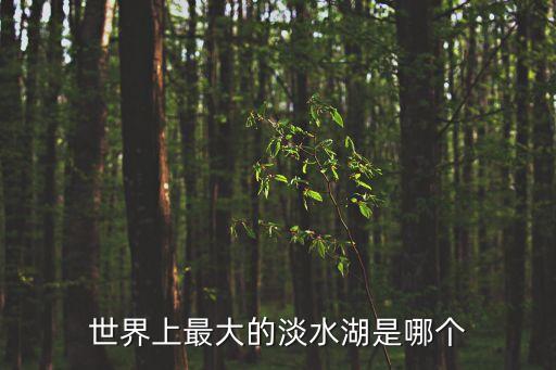 世界上最大的淡水湖是哪個