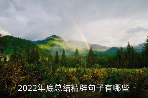2022年底總結精辟句子有哪些