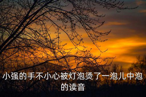 小強的手不小心被燈泡燙了一泡兒中泡的讀音