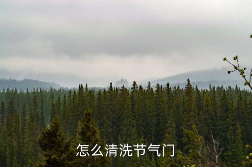 怎么清洗節氣門