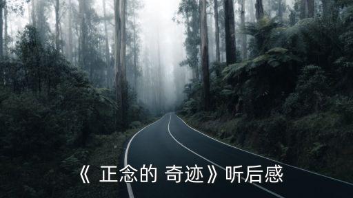 《 正念的 奇跡》聽后感