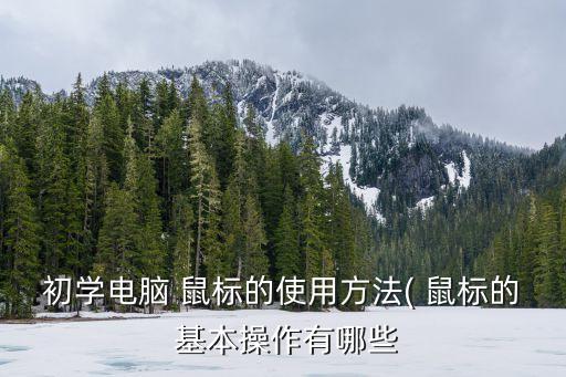 初學電腦 鼠標的使用方法( 鼠標的 基本操作有哪些