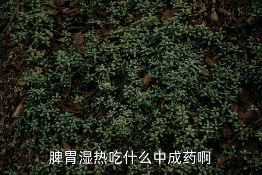 脾胃濕熱中成藥，脾胃濕熱吃什么中成藥啊