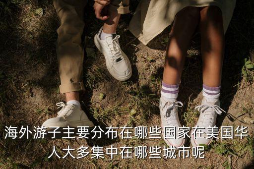 海外游子主要分布在哪些國家在美國華人大多集中在哪些城市呢