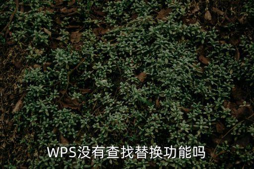wps替換，WPS怎么查找與替換