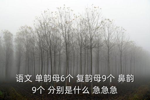 語文 單韻母6個 復韻母9個 鼻韻9個 分別是什么 急急急