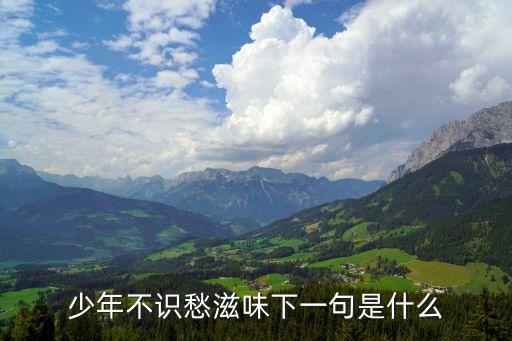 少年不識愁，少年不識愁滋味出自于哪首詩