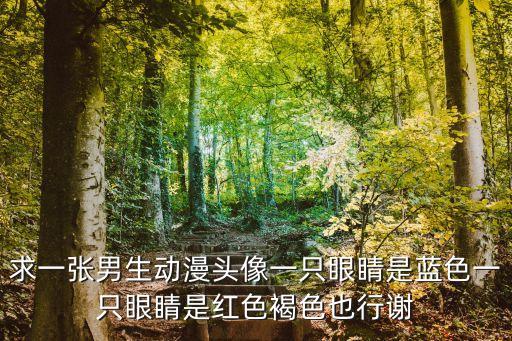 求一張男生動漫頭像一只眼睛是藍色一只眼睛是紅色褐色也行謝