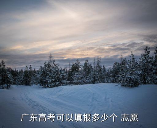 廣東志愿,本時(shí)間段報(bào)校校專(zhuān)業(yè)組志愿除外網(wǎng)上填報(bào)信息