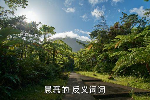 愚蠢的 反義詞詞