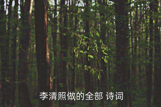  李清照做的全部 詩詞