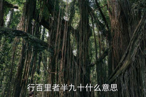 行百里者半九十什么意思