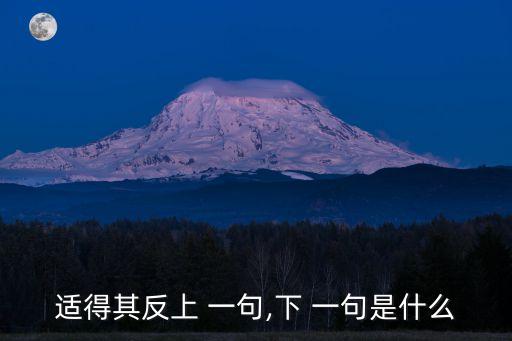 適得其反上 一句,下 一句是什么