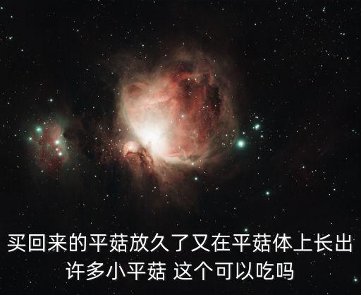 平菇的熱量，平菇燒牛肉的熱量是多少