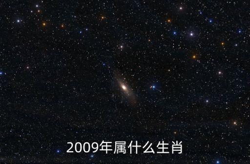 2009年屬什么生肖