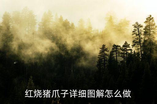 紅燒豬爪，紅燒豬爪子詳細圖解怎么做