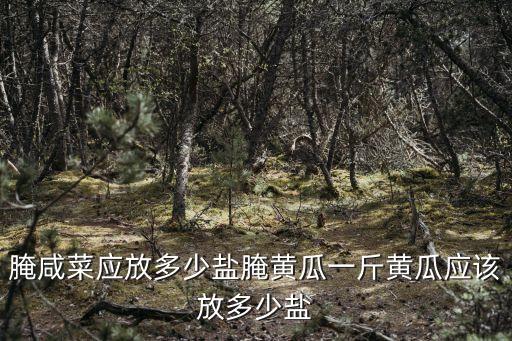 腌咸菜應(yīng)放多少鹽腌黃瓜一斤黃瓜應(yīng)該放多少鹽